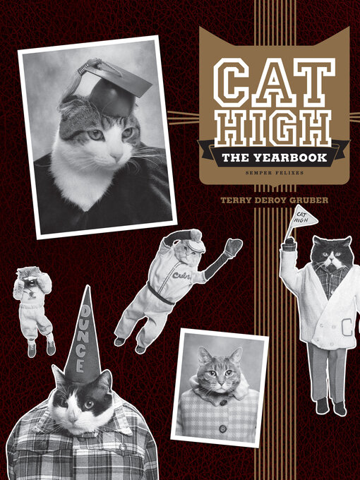 Title details for Cat High by Terry deRoy Gruber - Available